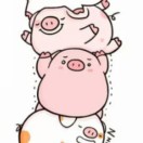 PIG It's me hahaha的钢琴谱