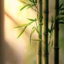 A潍坊兴明果蔬15253647555