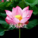笑对人生的头像-VAM®克苏恩资源社区