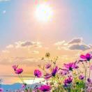 Serenity的头像-博士钣金 - www.bsbanjin.com