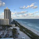 林🌷 Alin的头像-拟人圈