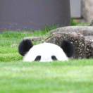 张张张