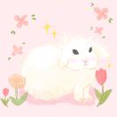 Selly Oak Court转租