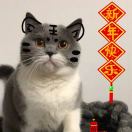 TonyMak的头像_Qpipi