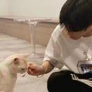 九家～℃-棉花糖网络安全资源站