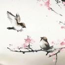 Ghost-cyh-少年精品音频资源网-vst76.cn-vst76资源网-宿主-精选插件-少年音频资源网-少年音频-音频设备-少年音频工作室-WWW.VST76.CN-www.vst76.cn-少年精品资源网-少年资源网少年精品资源网