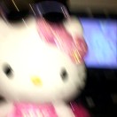 user_fguokax55yuvoe0t member profile picture