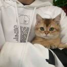 Wonderland 转租&房东直租