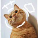 疯疯-秀琴曲谱网