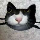 🧂🐟ｈｅｎｇ的头像-秀琴曲谱网