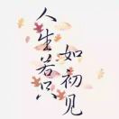 卍若只如初见卍