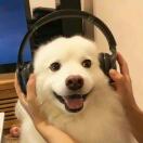 妥