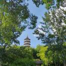 鹿酱饲养员
