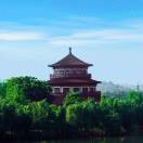 春风不语的头像-秀琴曲谱网