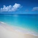 海阔天空
