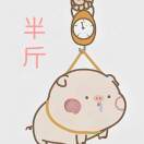 新旭 - 凤凰向南飞 (DJ版)