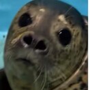 user24968