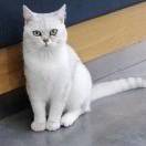 小程序搭建可接项目合作