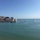 用户91706468的头像-秀琴曲谱网