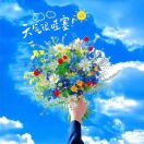 芬~