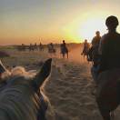 沉默的充电宝的头像-梦马考研