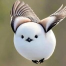黄勇