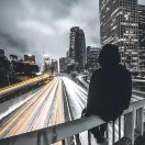 avalon转租&房东直租