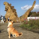 小橘灯的头像-博士钣金 - www.bsbanjin.com