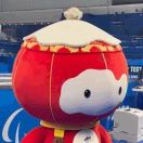 芝加哥(伊利诺伊州)求租
