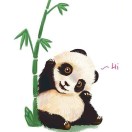 恒星木业～小阮