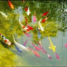 水沝淼㵘