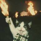 PWR