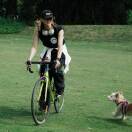 飞飞飞飞的头像-秀琴曲谱网