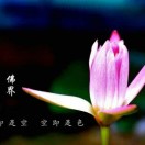 网友昵称：善意程玉妹