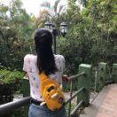 涂那个涂
