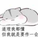 白橙子的头像