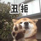 田先生的头像