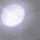 wx_蔣某24