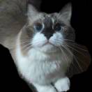 用户81585029的头像-博士钣金 - www.bsbanjin.com