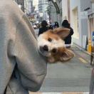 u客直谈实名认证姚有为