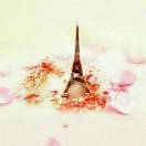 🍁🌱 Summer 🌱🍂的头像-博士钣金 - www.bsbanjin.com