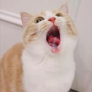 。，