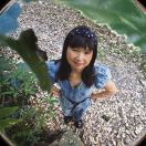 茉莉花香