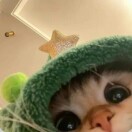 老冰🧊宝