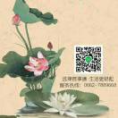 用户头像: