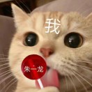 高高