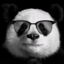 我跟烤肉就差一撮孜然