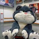 埋头猛冲的干饭人