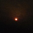 大星星儿的头像-资源工坊