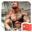 飛翔的魚
